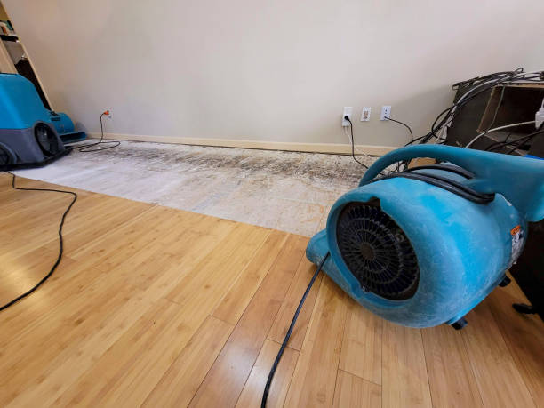 Professional Water Damage Repair technician working in Alliance, OH